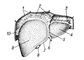 Рис. 1. Печень человека (вид спереди и сверху): 1 — диафрагма; 2 — венечная связка печени; 3 — левая треугольная связка; 4 — левая доля; 5 — серповидная связка; 6 — круглая связка; 7 — передний край; 8 — жёлчный пузырь; 9 — правая доля; 10 — правая треугольная связка.