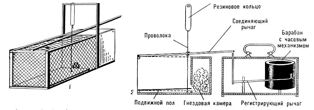 Актограф