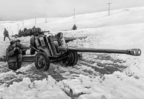 Артиллерия в боевых порядках пехоты