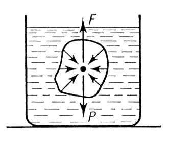 Архимеда закон. Рис.