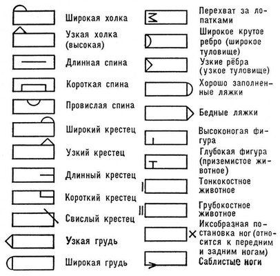 Бонитировочный ключ