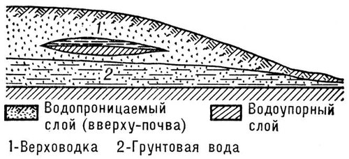 Верховодка. Рис.