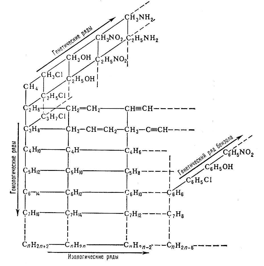 Гомологические ряды. Рис.