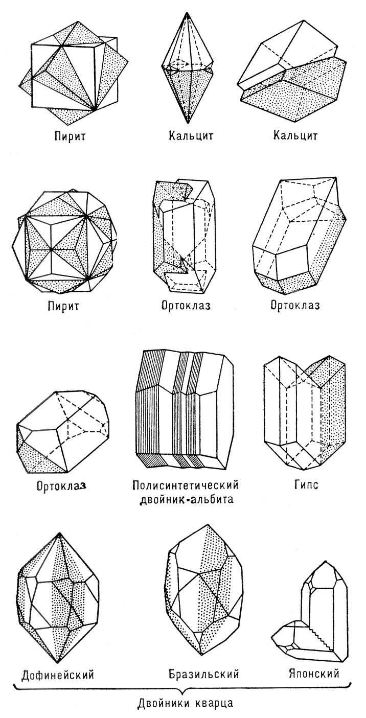 Двойники роста