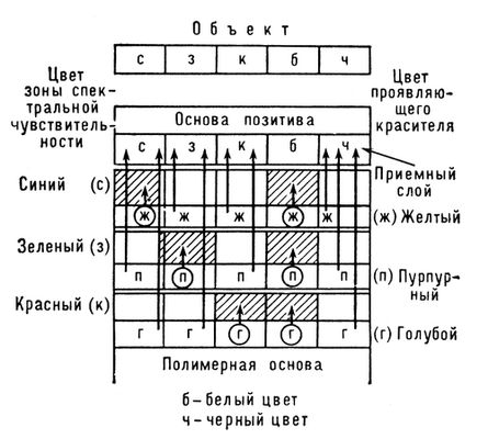 Диффузионный цветной фотографический процесс (схема)