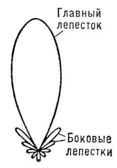 Диаграмма направленности