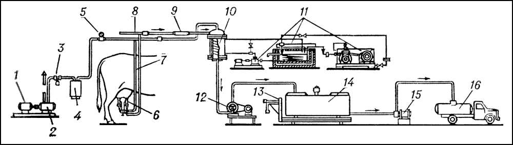 Доильная установка с молокопроводом