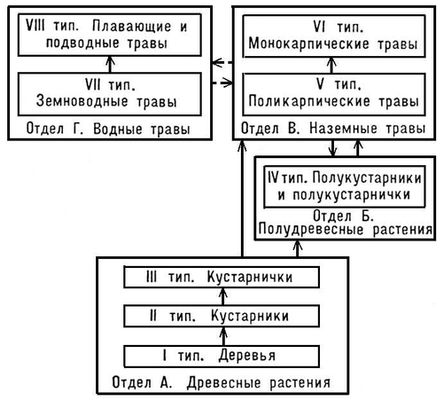 Жизненные формы