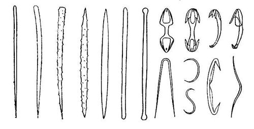 Иглы кремнероговых губок