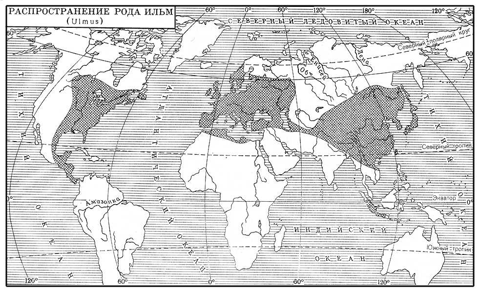 Ильм. Распространение