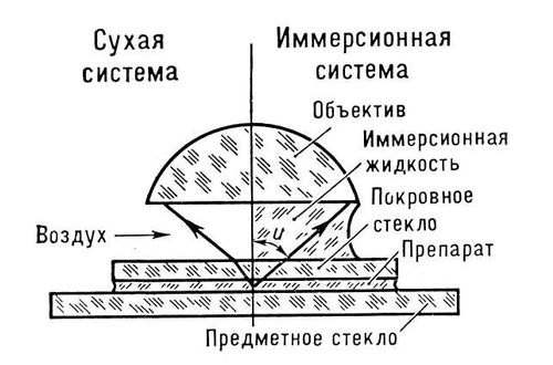 Иммерсионная система. Рис.