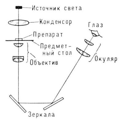 Инвертированный микроскоп