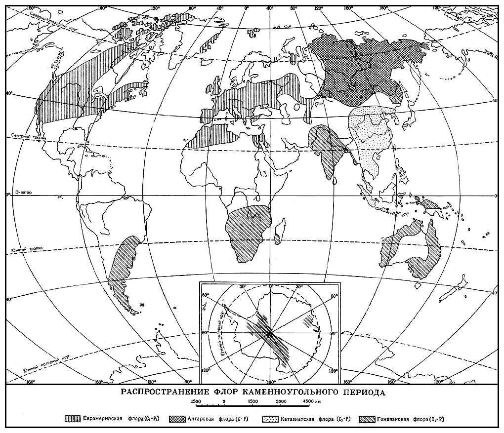 Каменноугольная система. Распространение флор
