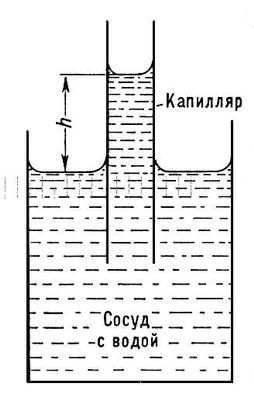 Капиллярное поднятие