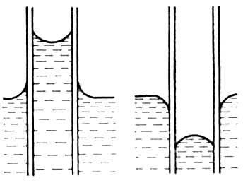 Мениск. Рис.