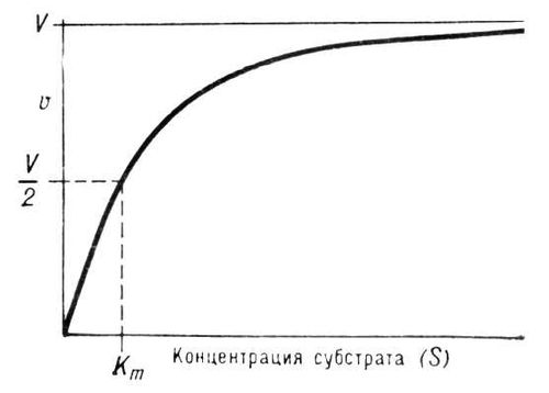 Михаэлиса Константа