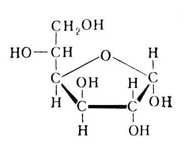 Моносахариды. Циклическая форма