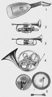 Музыкальные инструменты. Примеры
