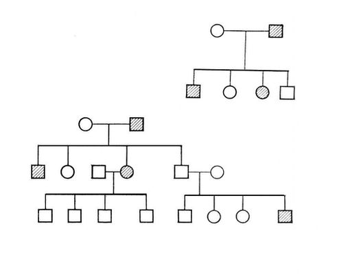 Наследственные заболевания (родословная)