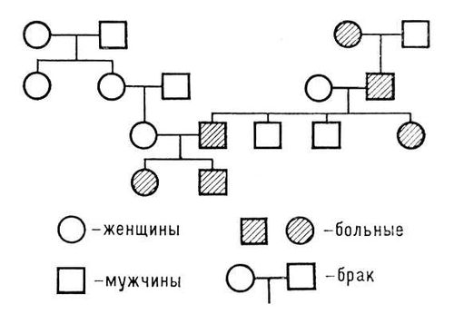 Наследование (аутосомно-доминантный тип)