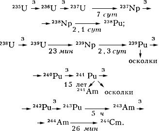 Образование трансурановых элементов в ядерном реакторе (схема)