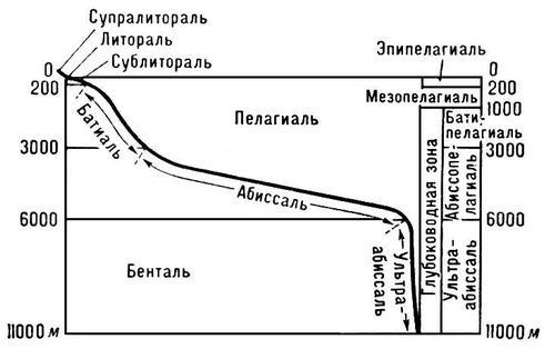 Океан. Рис.