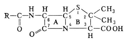 Пенициллины. Рис.