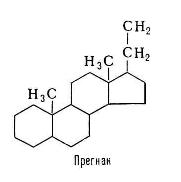 Прегнан