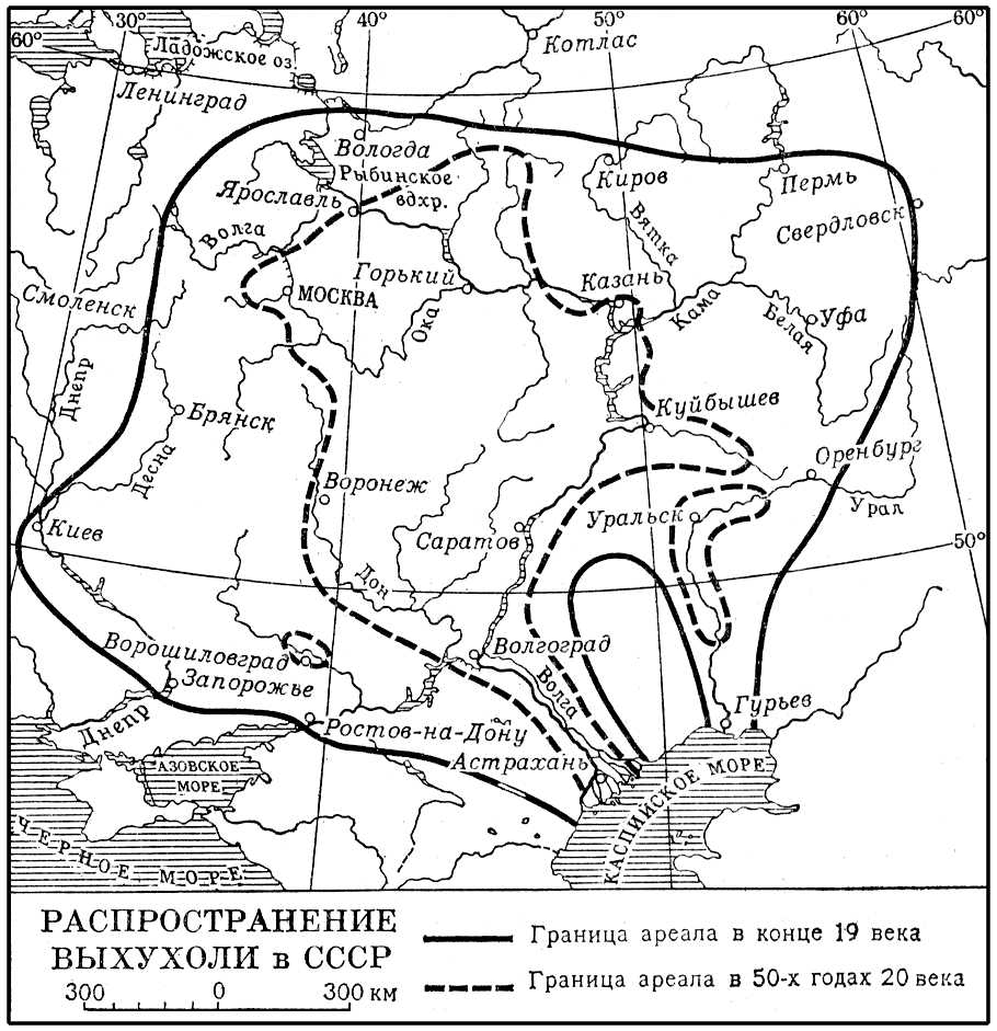 Распространение выхухоли в СССР