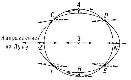 Распределение приливообразующих сил в различных точках поверхности Земли