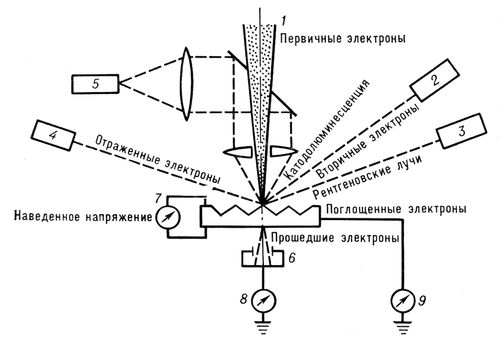 Регистрация информации об объекте, получаемой в РЭМ (схема)