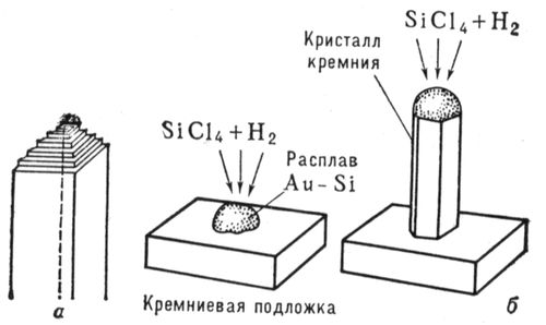 Рост нитевидного кристалла (схема)