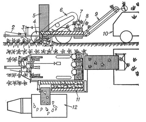 Свеклоуборочный комбайн КСТ-3А. Технологическая схема работы