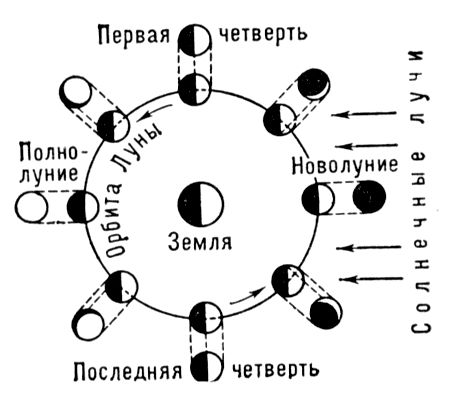 Смена фаз Луны