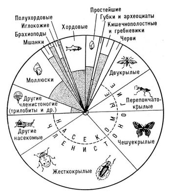 Современные и вымершие животные (относительное количество)