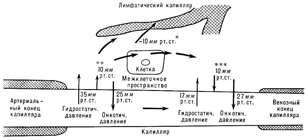 Соотношение давлений, обеспечивающее движение жидкости