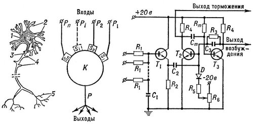 Схематическое изображение нейрона, его модели и электрическая схема искусственного нейрона
