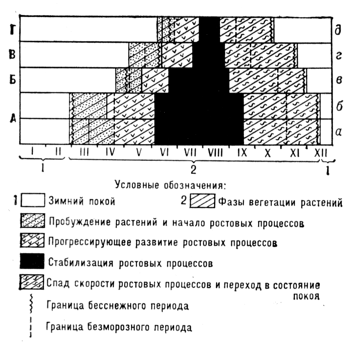 Фенологический спектр годичного цикла развития горных лесов Северо-Западного Кавказа