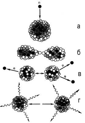 Ядра атомного деление. Рис.