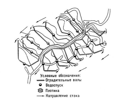 Ярусный лиман в пойме реки (схема)